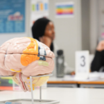 A Level Psychology